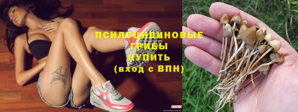 ГАЛЛЮЦИНОГЕННЫЕ ГРИБЫ Сатка