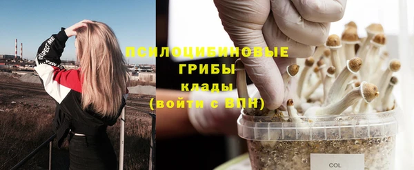 бутират Алексин