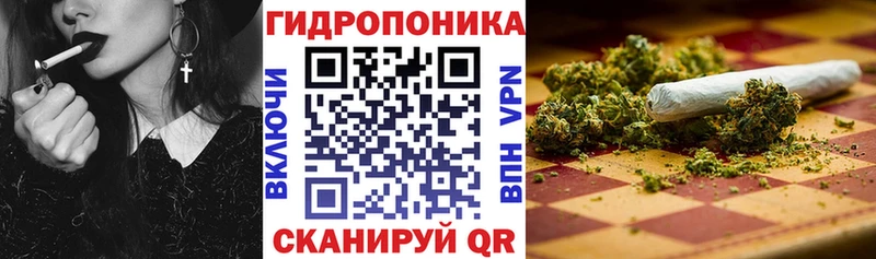 Конопля Amnesia  магазин продажи наркотиков  Злынка 